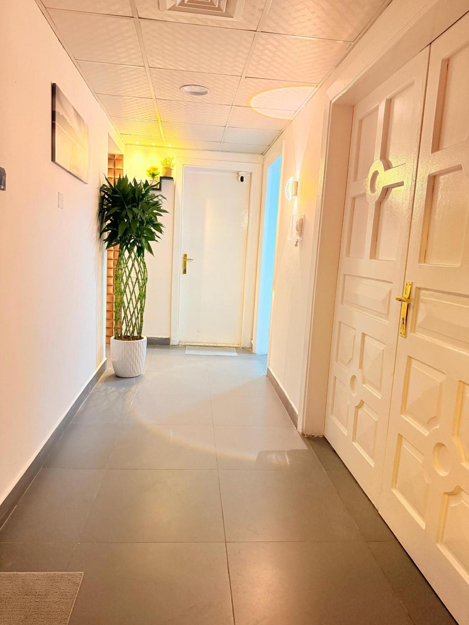 Orchid International *