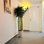 Orchid International